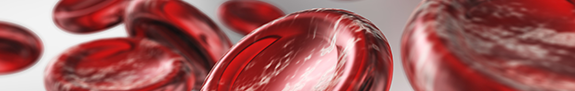 Red Blood Cells